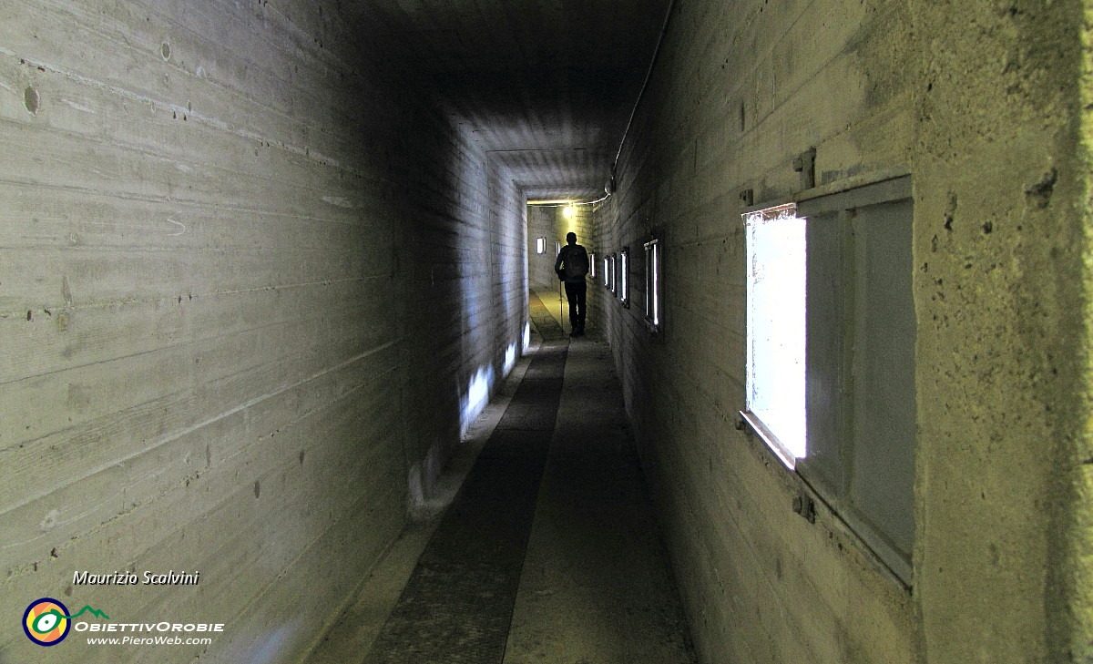 50 Nel Tunnel....JPG